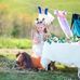 Lori Hepler - Facebook