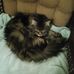 Lorri Herbert - Facebook