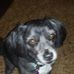 Lori Herbst - Facebook
