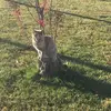 Lori Herden LeBrun - @lori.herden.lebru - TikTok