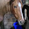 Lori Herod83 - @lherod32754 - TikTok