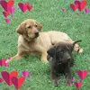 Lori Herrin357 - @loriherrin357 - TikTok