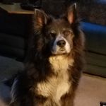 Lori Herrin - @lherrin2012 - Instagram