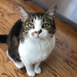 Lori Higginbotham - @lorih2712 - Instagram
