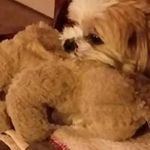 Lora Hildreth - @lorahildreth - Instagram