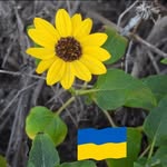 Lori Hillman Sparagowski - @lospar15 - Instagram