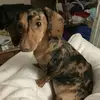joan33 - @lorihoadley - TikTok