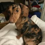Lori Hoadley - Facebook