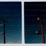 Lorrie Hoehn - @remonatemplin461 - Instagram
