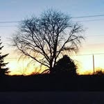 Lori - @lori_hoffman_ - Instagram