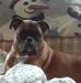 Loribeth Hollinger - Facebook