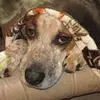 Lori Holton172 - @user526060661 - TikTok
