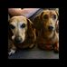 Lori Horton - Facebook