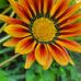 Laura Holtz - Facebook