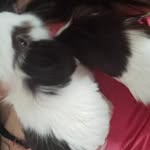 💓homeroylori💓 - @homero_lori_peralta - Instagram