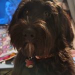 Lori Hoffman Homer - @homermomma - Instagram