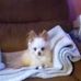 Lori Honaker - Facebook