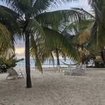 Lori Honer - @lorihoner - Instagram