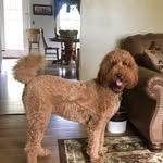 Lori Honeychurch - @lori_honeychurch - Instagram
