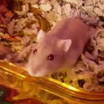lori hooker - @withspiritlove - Instagram