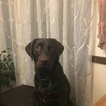 Lori Hooker - @lorihooker2 - Instagram
