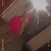 Lori Horan - @lorihoran_ - TikTok