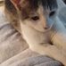 Lori Hosmer - Facebook