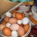 Laura Householder - Facebook