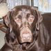 Lorraine Householder Seiber - Facebook