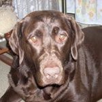 Lorraine Householder Seiber - @householderseiber - Instagram