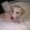 Lori huber - @lorilou6 - TikTok