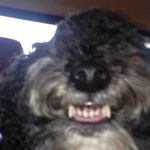 Lori Huber - @96720mom - Instagram