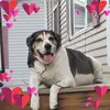 Lori Hunter - @user8876405896555 - TikTok