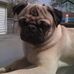 Lori Hurd - Facebook