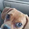 momma - @loriisaacs2 - TikTok