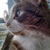 Lori Isham - Facebook