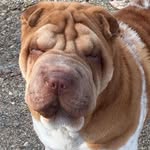 Lori Jackman Courier - @loricourier - Instagram