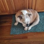 Lori Jacob - @jacob.lori - Instagram
