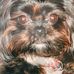 Lorraine Jasinski - Facebook