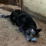 Cross R Ranch - @jeffery.lori_robert - Instagram