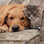 Lori Jepson - Facebook