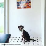 Jerry Lori - @jerrylori703 - Instagram