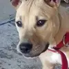 JerryLori Rhodes - @jerrylori.rhodes - TikTok