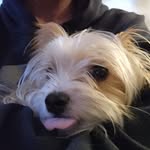 Lori Jerry - @tnj2001 - Instagram