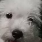 Lorie Jimenez - Facebook