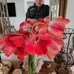 Lori Juarez - @brightstarr54 - Instagram
