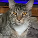 Lori Julian - @thejewel4 - Instagram