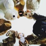 Lori Julian-Kuriwchak - @lorijuliankuriwchak - Instagram