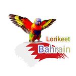 طيور اللوري في مملكة البحرين - @lorikeet_bh - Instagram