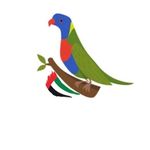 Hu’maid ALraeesi 🇦🇪 - @lorikeet_alraeesi - Instagram